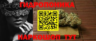 гашик Ачхой-Мартан