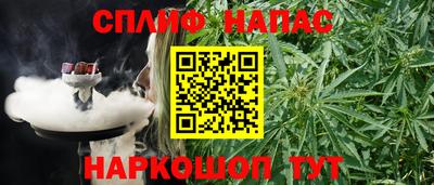 гашик Ачхой-Мартан